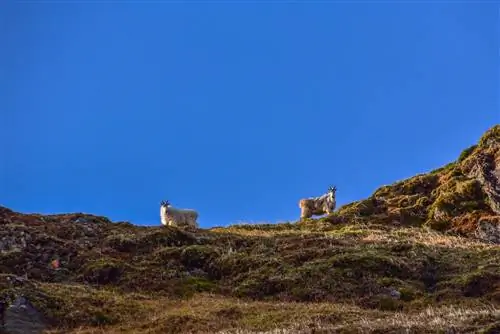 Вот 9 вещей, которые нужно сделать в Джуно, Аляска.