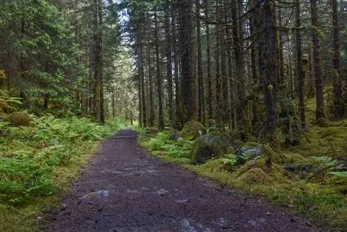 Вот 9 вещей, которые нужно сделать в Джуно, Аляска.