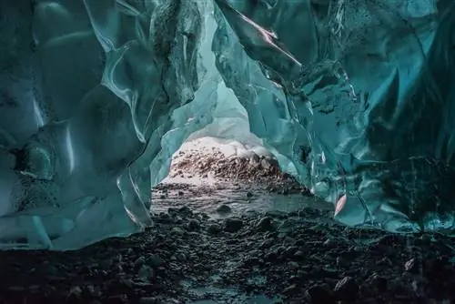 Вот 9 вещей, которые нужно сделать в Джуно, Аляска.