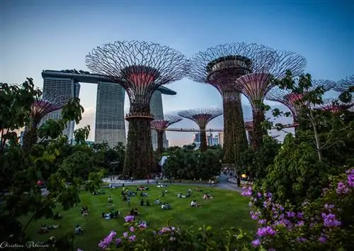 15 идеальных фотографий Сингапура в Instagram