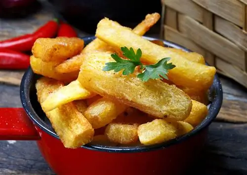 5 вкусных способов использовать маниоку, самый универсальный продукт питания в Бразилии