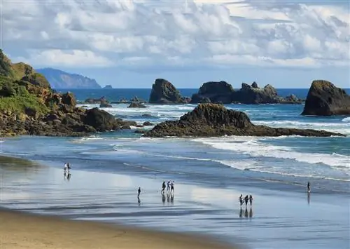 Поиски драгоценных камней и сокровищ на потрясающем побережье Орегона