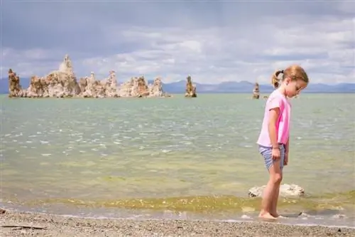 7 потрясающих пейзажей в Маммот-Лейкс, Калифорния