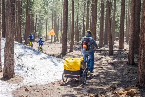 7 потрясающих пейзажей в Маммот-Лейкс, Калифорния