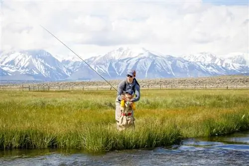 7 потрясающих пейзажей в Маммот-Лейкс, Калифорния