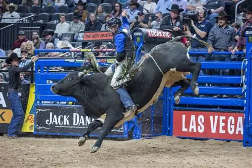 Лас-Вегас родео