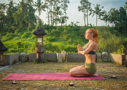 Руководство по обучению учителей йоги по всему миру