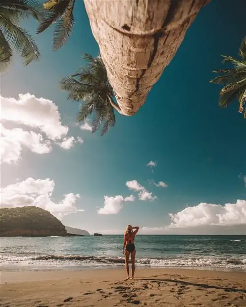 12 фактов о Доминике, которые вас удивят