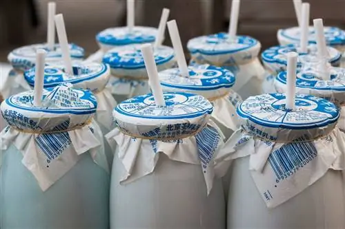 Китайский йогурт на площади Олимпийского парка столицы Китая Пекина