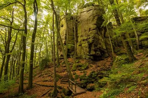 Походная тропа в лесах Мюллерталь, Люксембург