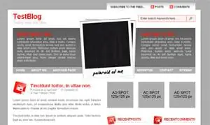 Тема путешествия Polaroid wordpress