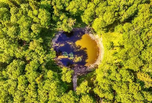 Вид с воздуха на остров