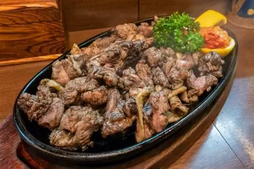 Миядзаки жареная курица якитори японская еда