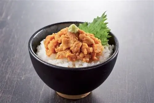 Uni don bowl японская еда Rishiri