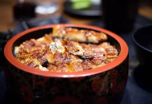 японская кухня хицумабуси