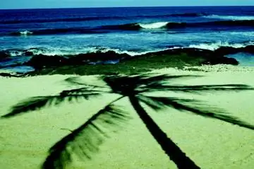 Как развить личный бренд писателя