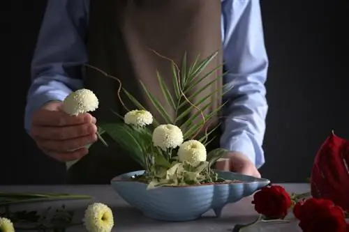 Япония цветы икебана