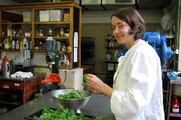 Учеба за границей в эко-деревнях