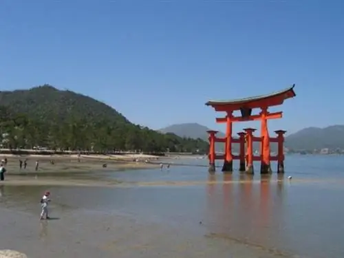 Подходит ли вам программа JET?