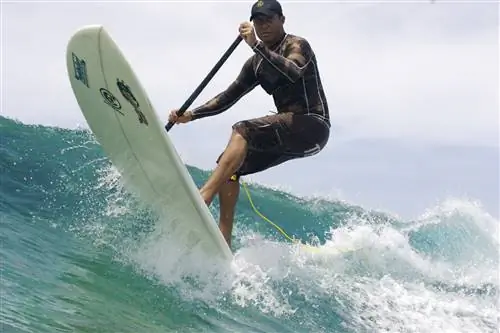 Гребля стоя: краткая история C4 Waterman