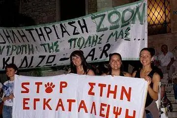 Отправка от первого лица: волонтерство в защиту прав животных в Греции, часть 2