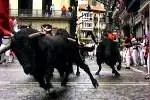 Путешествие в кресле: бег с быками в Памплоне, Испания
