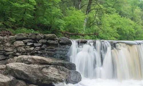 Почему вам нужно включить парк в свой маршрут по Филадельфии