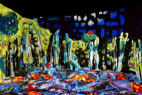 Экологическая выставка в Нью-Йорке