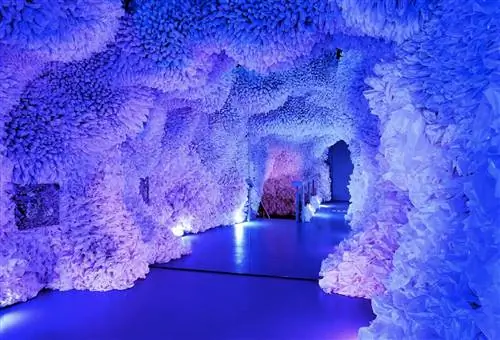 Экологическая выставка в Нью-Йорке