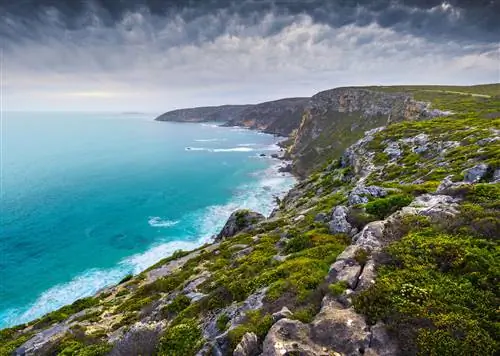 Остров Кенгуру должен быть в вашем маршруте на открытом воздухе в Австралии