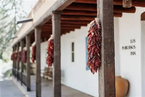 Лос Побланос