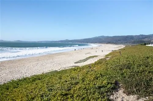 Пляж Северной Калифорнии