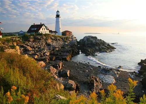 7 причин, почему Портленд, штат Мэн, является лучшим местом для осени