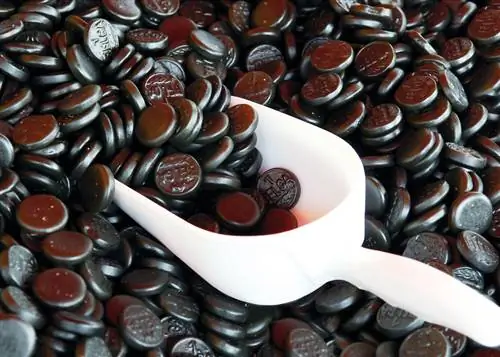 Хотите понять голландскую культуру? Начните с соленой лакрицы