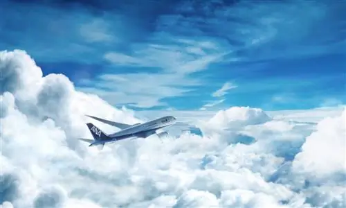 10 способов познакомиться с японской культурой совершенства