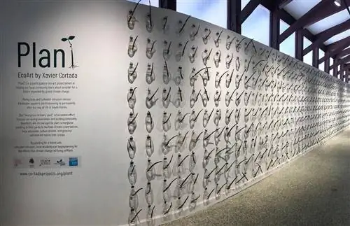 Кортада Проекты