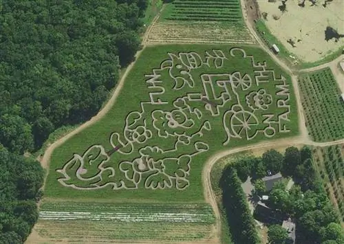 Вид с воздуха на кукурузный лабиринт Connors Farm в Дэнверсе, Массачусетс. Вид с воздуха на кукурузный лабиринт Connors Farm в Дэнверсе, Массачусетс.