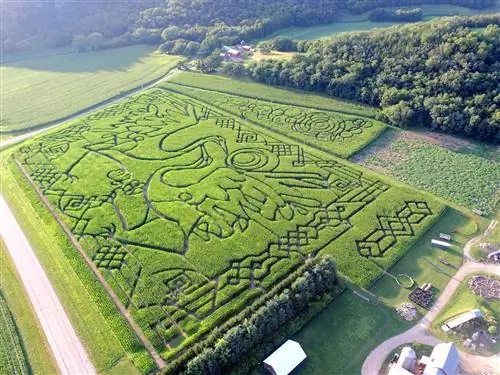 Кукурузный лабиринт и тыквенное поле Treinen Farm в Лоди, Висконсин Кукурузный лабиринт и тыквенное поле Treinen Farm в Лоди, Висконсин