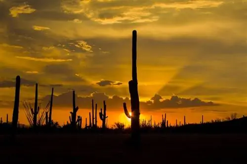 7 городов США с первозданной природой на заднем дворе