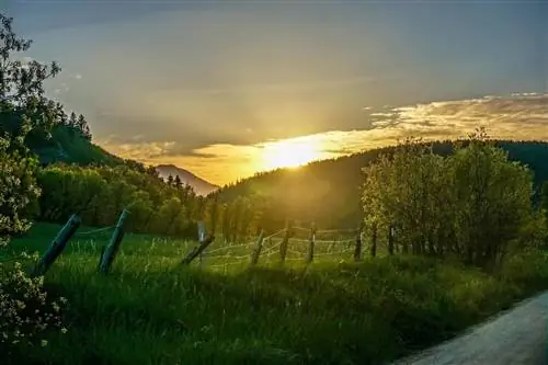 Центр трансформации жизни Hummingbird