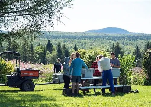 Цитировать Ecologique