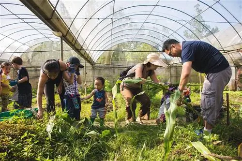 Инициатива с нуля