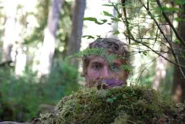 Ситхинская ель