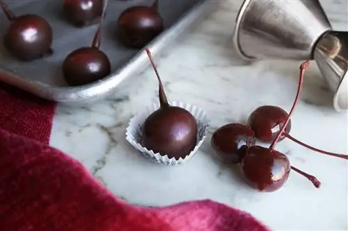 Шоколадная вишня Shane Confectionery