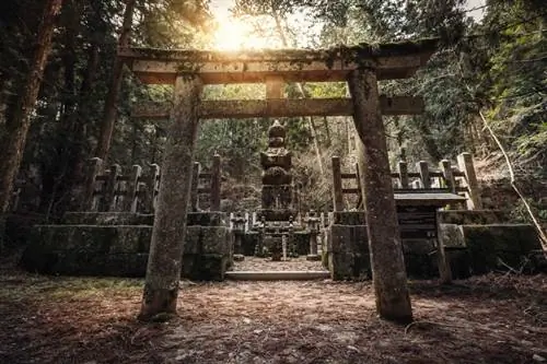 Коясан, самые священные горы Японии; Идентификатор Shutterstock 738168889; Заказ на поставку: ANA 2019 SP2