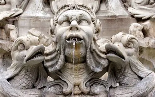 Венди Коннетт