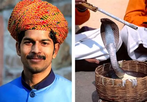 Венди Коннетт