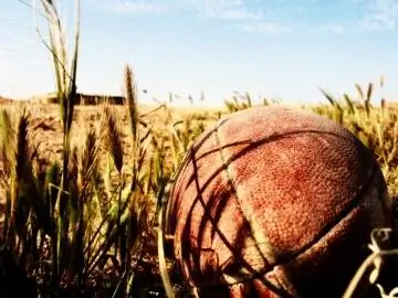 7 спортсменов-филантропов и их благотворительные организации