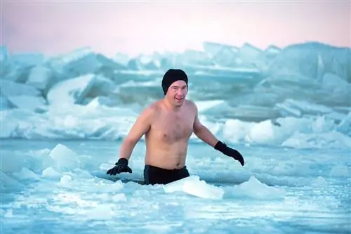 Зимнее плавание