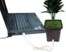 Image Image